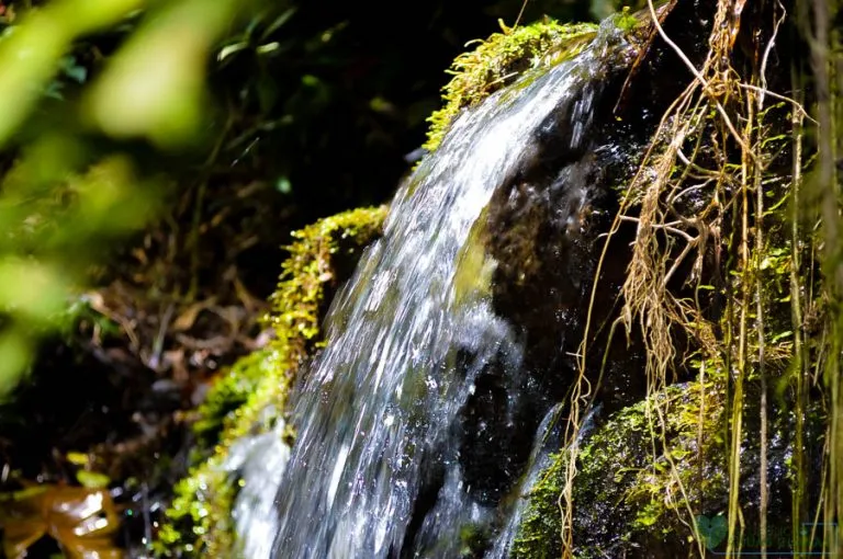 Nacimiento de agua